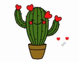 Cactus corazón