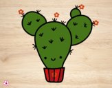 Cactus nopal