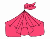 Circo