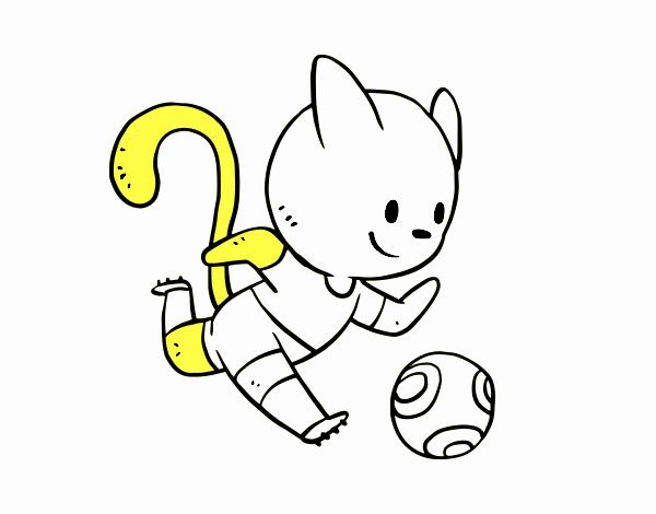 Gato jugando a fútbol