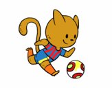 Gato jugando a fútbol