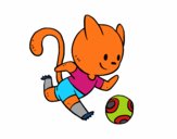 Gato jugando a fútbol