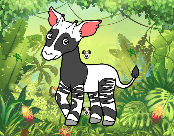 Okapi