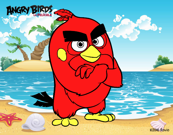 Red de Angry Birds