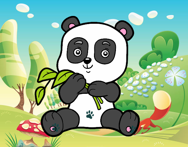 Un oso panda