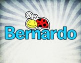 Bernardo