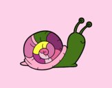 El caracol