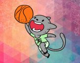 Gato jugando a baloncesto