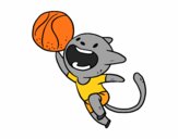 Gato jugando a baloncesto