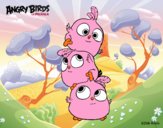 Las crias de Angry Birds