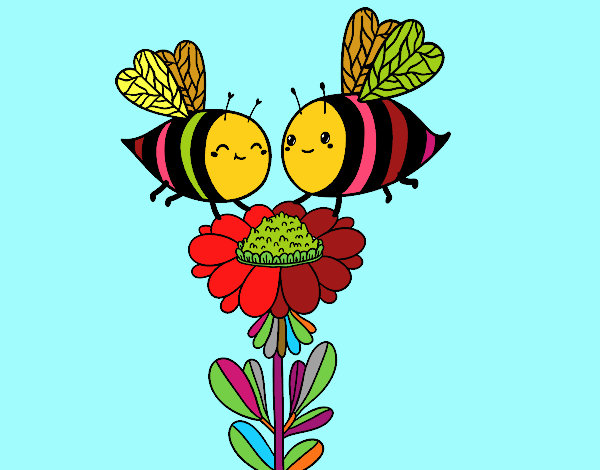 Pareja de abejas