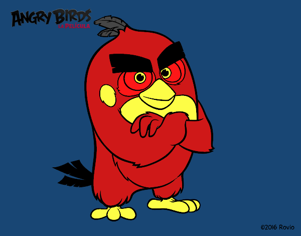 Red de Angry Birds