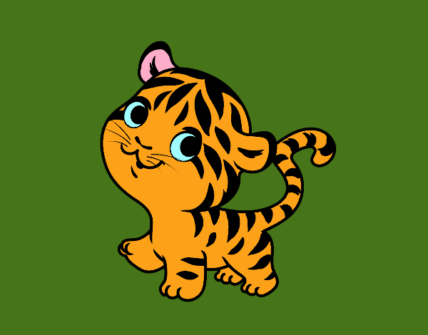 Tigre bebé