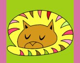 Gato durmiendo