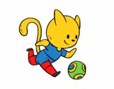 Gato jugando a fútbol