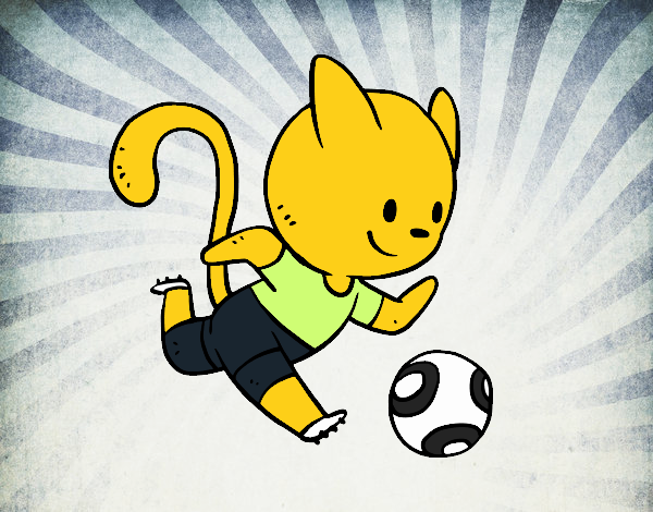 Gato jugando a fútbol