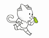 Gato runner