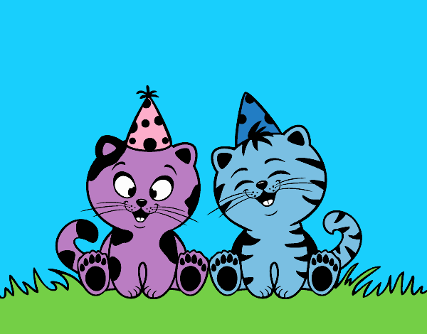 Gatos de cumpleaños