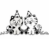 Gatos de cumpleaños