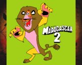 Madagascar 2 Alex 1