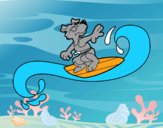 Perro surfeando