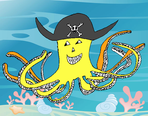 Pulpo pirata