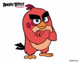 Red de Angry Birds