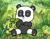 Un oso panda