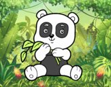 Un oso panda