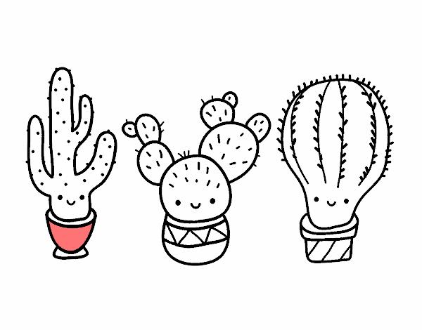 3 mini cactus