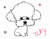 Cachorro de poodle