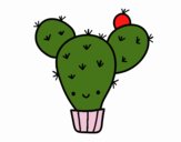 Cactus nopal