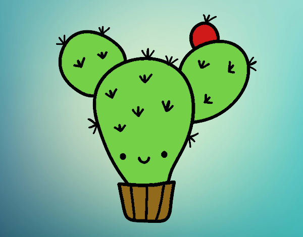 Cactus nopal