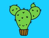 Cactus nopal