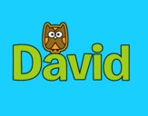 David