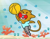 Gato jugando a baloncesto