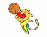 Gato jugando a baloncesto