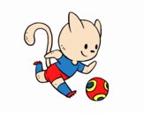 Gato jugando a fútbol