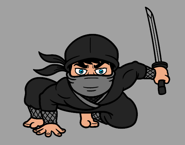 ninja japones 
