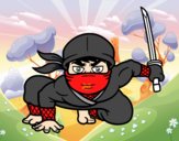 Ninja japonés