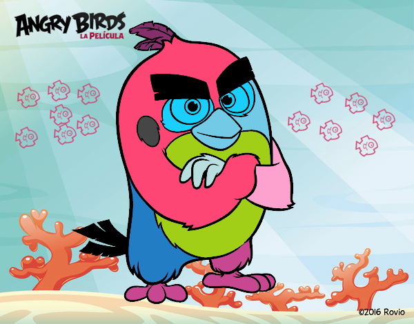 Red de Angry Birds