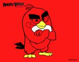 Red de Angry Birds