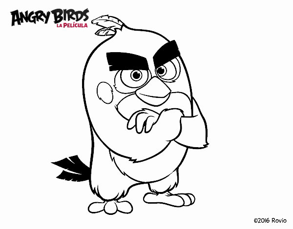 Dibujo de Red de Angry Birds pintado por en Dibujos.net el día 29-02-20