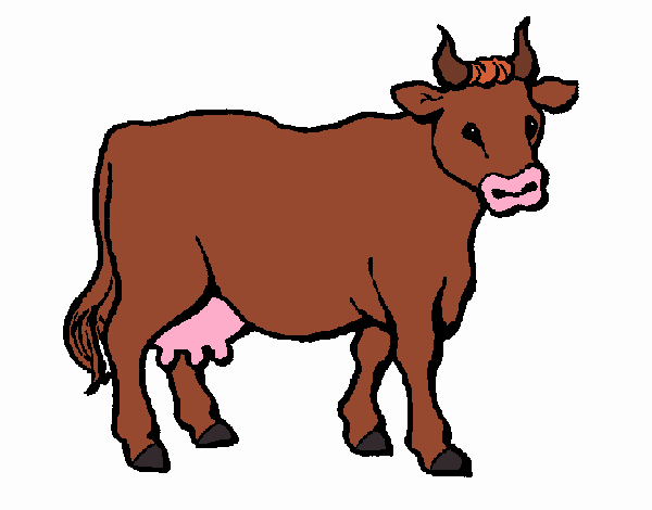 Vaca 3