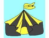 Circo