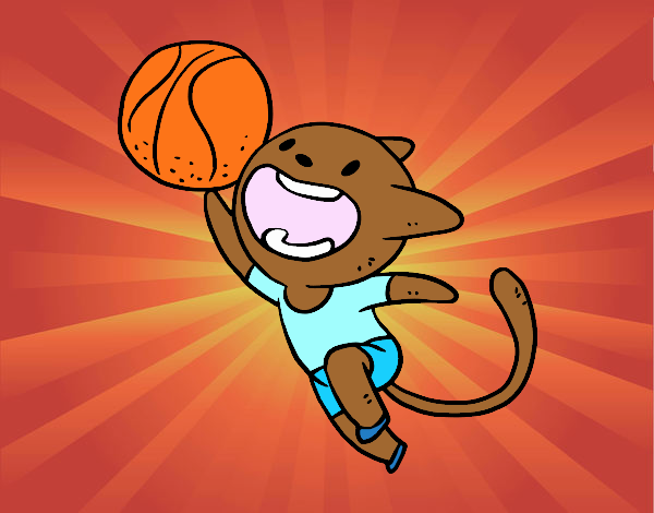 Gato jugando a baloncesto