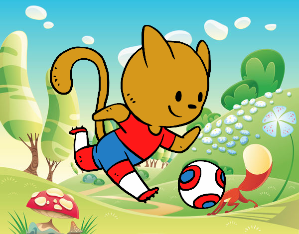 Gato jugando a fútbol