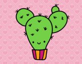 Cactus nopal