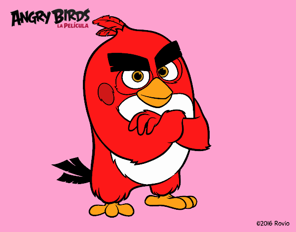 Red de Angry Birds