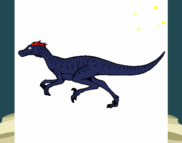 Velociraptor